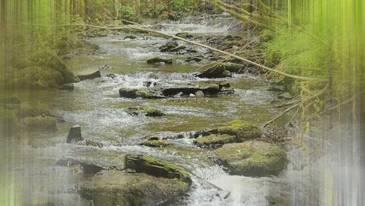 Waterfall & the Romantic Glen