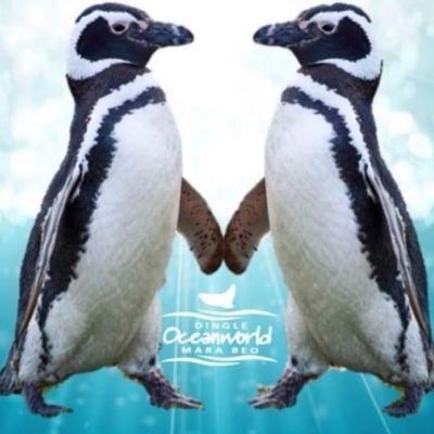 Penguin Coast & Polar Penguins