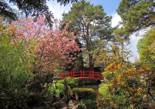 Japanese Gardens