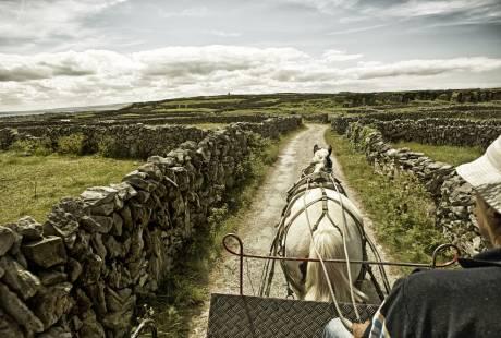 Aran Islands & Cliffs Combo