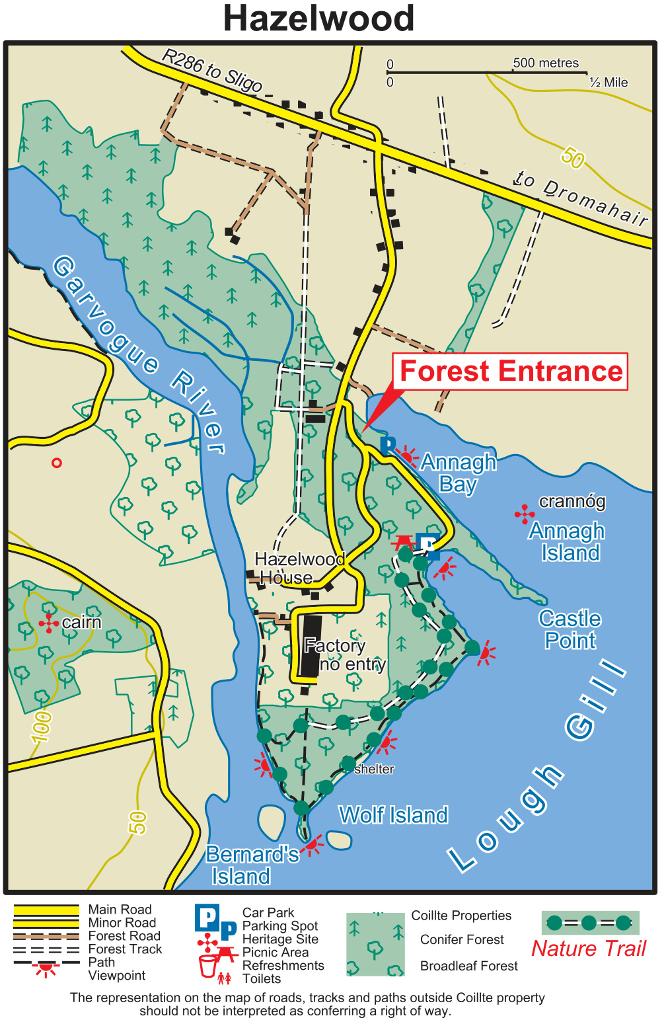 Hazelwood Forest photo 2