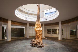 Explore the Visitor Centre