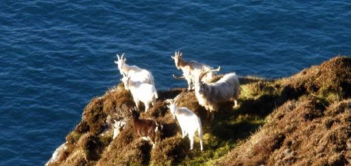 Information trail & wildlife spotting