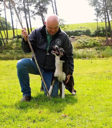 Sheep Herding Demonstration