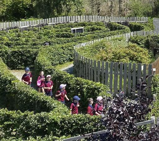 The Mazes