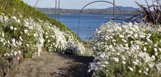 Alpine Garden and coastal walks