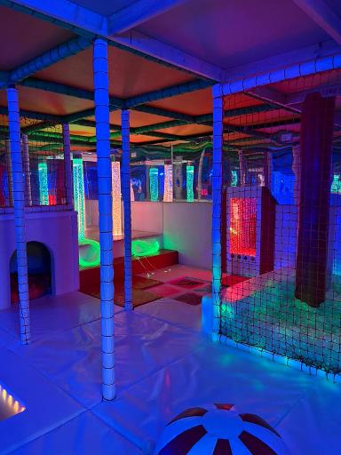Sensory area