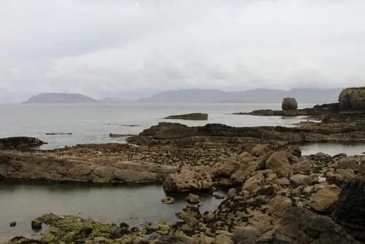 Beachcombing & Sea-Glass Hunting