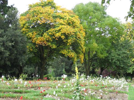 Explore the People's Gardens