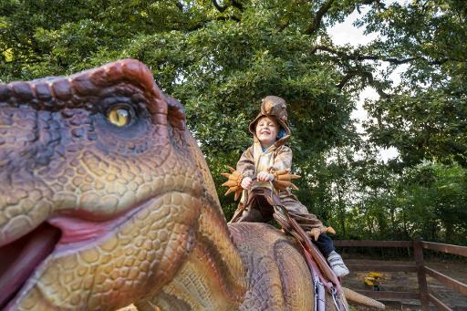 Adventure Playground & Fossil Dig