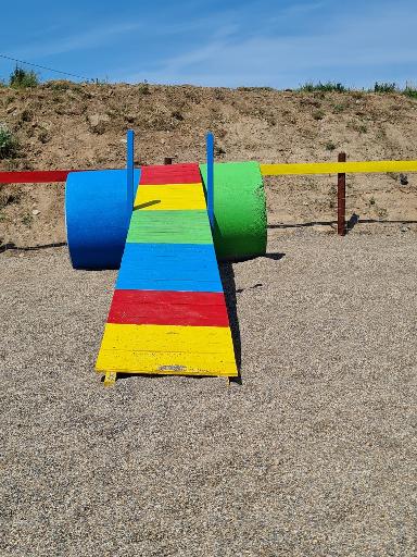 Dog Adventure Playground