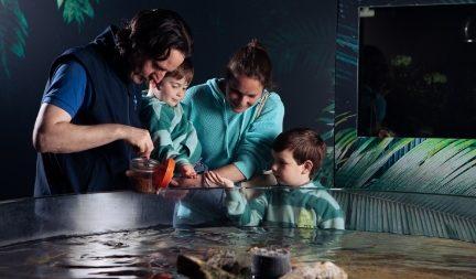 Feeding Experiences & Daily Talks