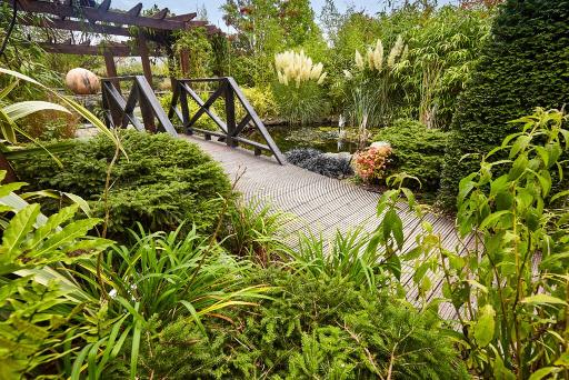 Climb the Roof Garden for a bird's-eye view