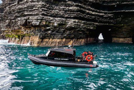 Seafari Private Tour