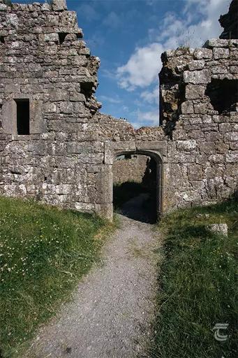 Explore the Castle Ruins