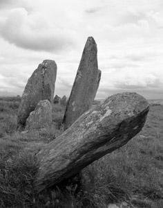 Find the cup-marked stone