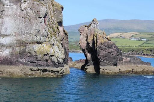Dingle Bay Cliff Tour (1 hr)