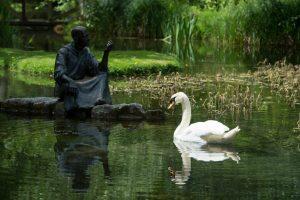 Explore St Fiachra's Garden