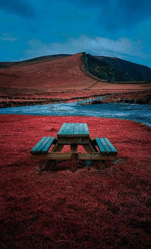 Picnic with Atlantic Views