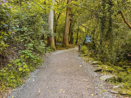Yellow & Blue Loop Trails