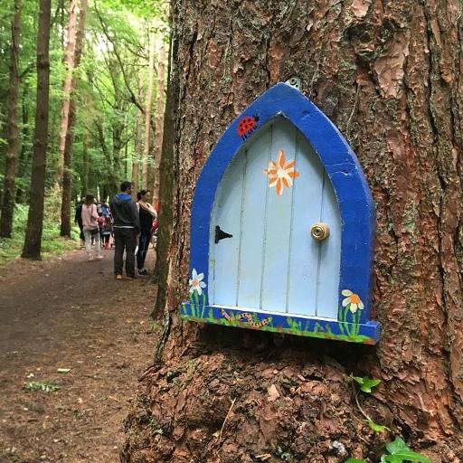 Belleek Woods Fairy Trail