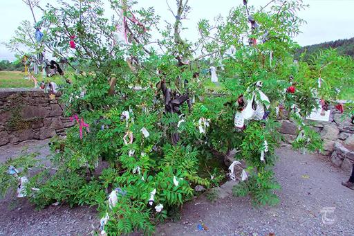 Visit Tobernacogany Holy Well