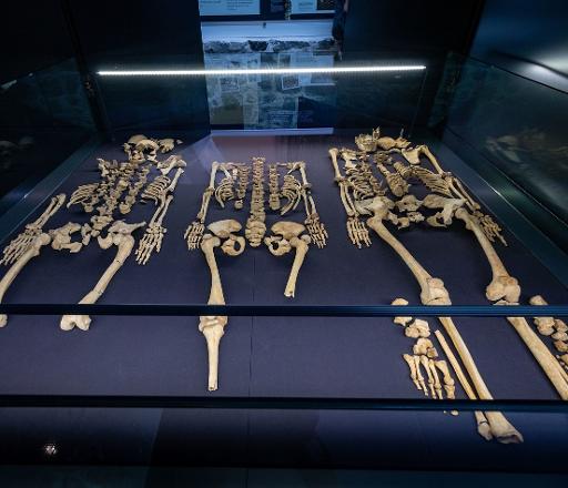 '3 Lives, 3 Deaths, One Life Unlived' Exhibition
