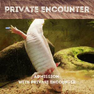 VIP Keeper and Private Encounters