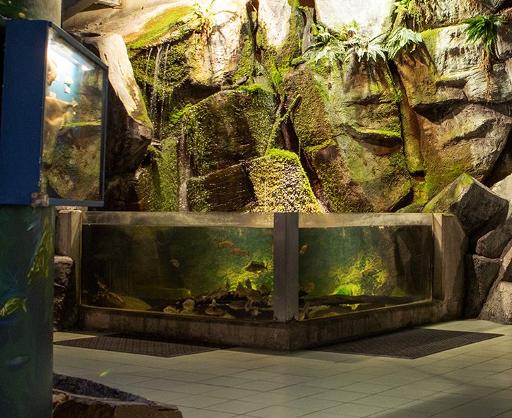 Freshwater Waterfall
