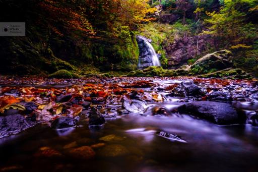 Nature Trail to the Waterfall