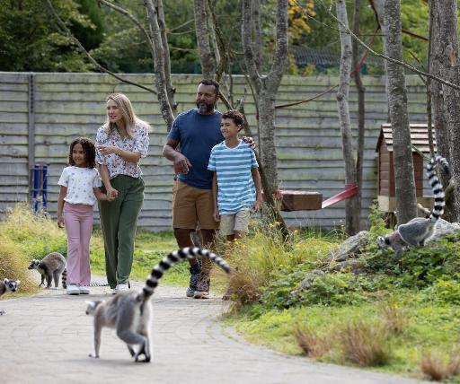 Zoo & Lemur Woods