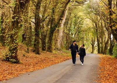 Woodland & Lakeshore Trails