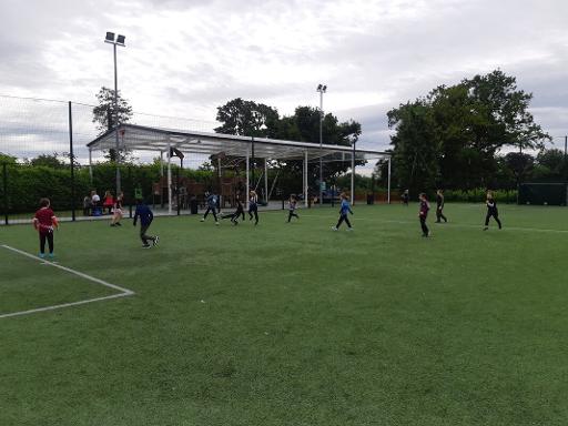 Astro Turf Pitch