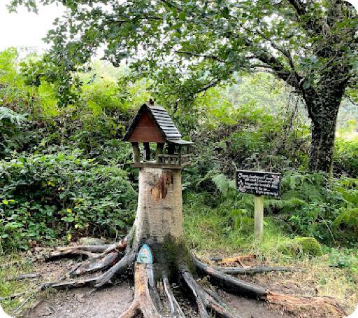Fairy Tree Trail & Treasure Hunt