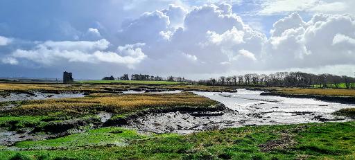 Birdwatch at Ballylongford Wetlands