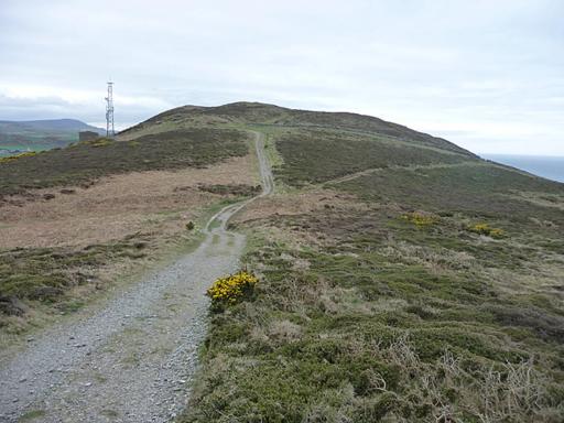 The Corrin Trail