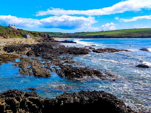 Beach Walking & Rockpooling