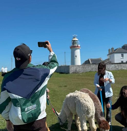 Loop Head Lighthouse Walk