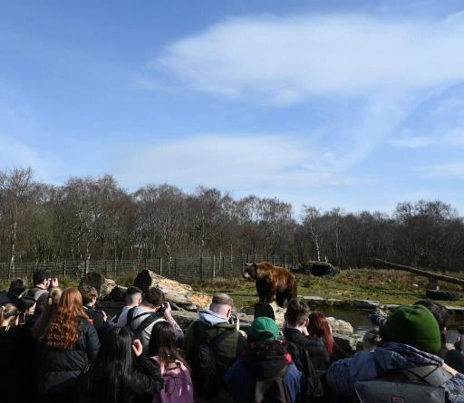 Encounter the Bears