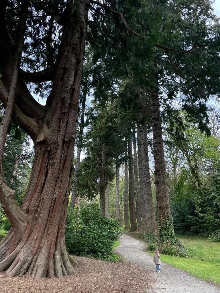 Powerscourt House & Gardens photo 2