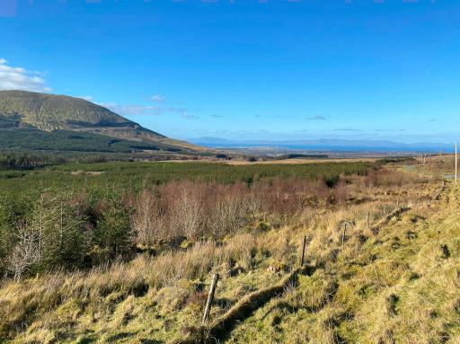Shorter Mill Site Walk (9.1km)