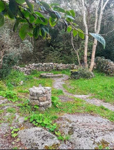 Visit St Enda's Well (Tobar Éanna)