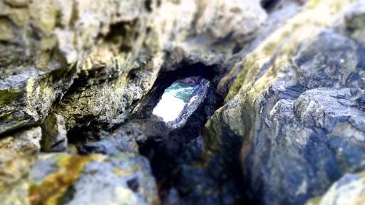 Geology & Fossil Spotting