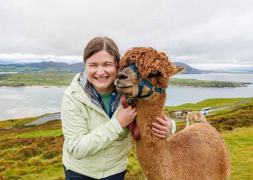 Alpaca Walking Tour