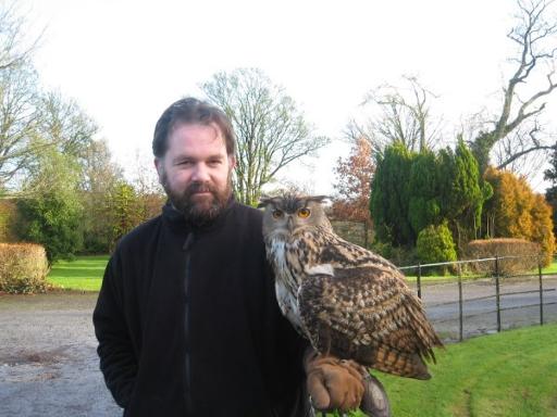 Hawk Walks & Falconry