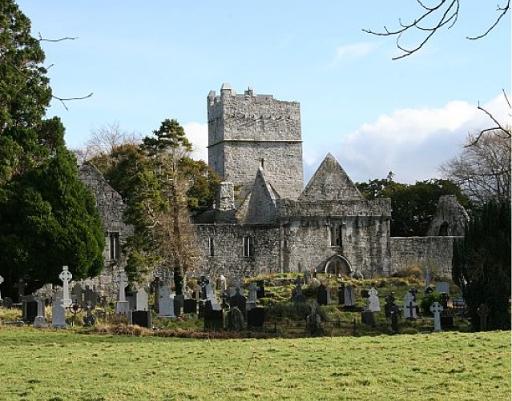 Muckross Abbey