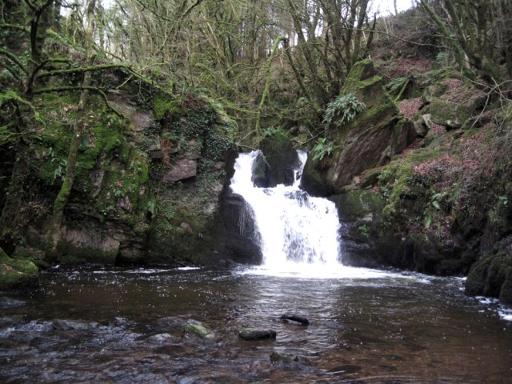 Wild Swimming