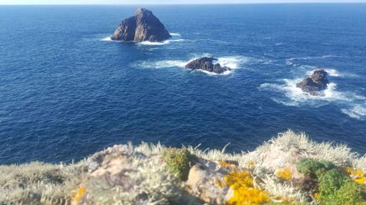 Clifftop Viewpoint & Sea Arches