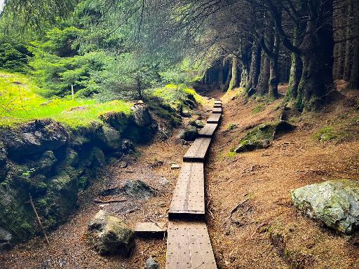 Walk the Ballinastoe Boardwalk