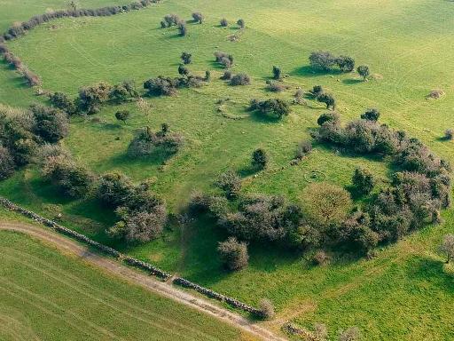 The Royal Palace ringfort
